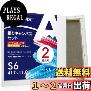 yzAUREUO LoX Zbg S6 (41cmX41cm)  ȉ@a 2 S Gp |pGn G p ʉEGEANp