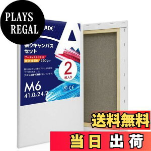 yzAUREUO LoX Zbg M6 (41cmX24.2cm)  ȉ@a 2 S Gp |pGn G p ʉEGEANp