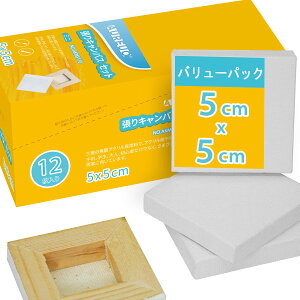 yzAUREUO |pGn G p ~j LoX Zbg C[[ 5cm×5cm 12  100Rbg ʊGEANGEGɓKp