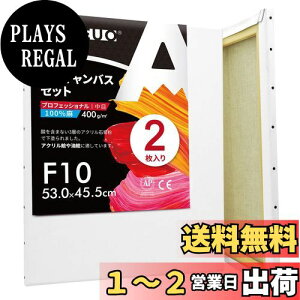 yzAUREUO LoX Zbg F10 (53.0cmx45.5cm)  S 2 l ̊Gp |pGn G p ʉEGEANp