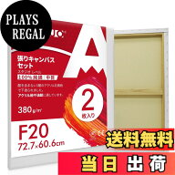 【送料無料】AUREUO 張りキャンバス セット F20 (72.7cmX60.6cm) 中目 100％コットン 2枚 初心者 絵画用…
