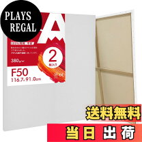 楽天市場】キャンバス f50 2枚の通販