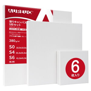 【送料無料】AUREUO 張りキャンバス セット マルチサイズ 6枚入 S0,S4,S6 (各2枚) 中目 100%コットン 初心者 絵画用具 芸術絵創作 現代油絵 美術装飾 水彩画・油絵画・アクリル兼用