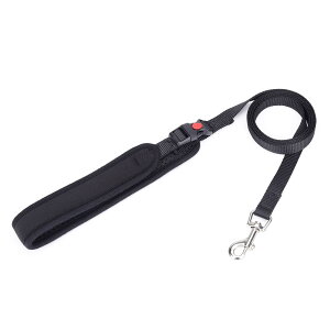 yzL Lp [h L[ ˂ lR qL q ^p [h bVf y \tg[h U o ₷ vȋ \ (Lp [h_ubN, S)