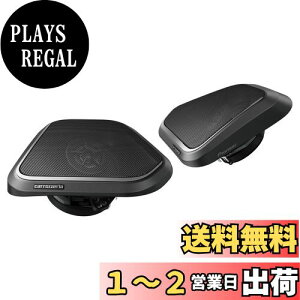 yzPioneer Xs[J[ TS-H100-NV mA/HNV[p(90n 12Xs[J[/6Xs[J[tԗp) 2EFC JbcFA
