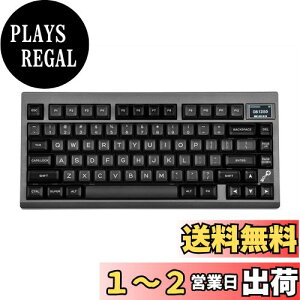 yzEPOMAKER TH80 PRO V2 CX Q[~OL[{[h RGBXN[ VIAvO}u KXPbg JjJL[{[h 75%Bluetooth/2.4Ghz/USB-C N[~[L[{[h Mac/Winp LE