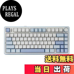 yzEPOMAKER x Aula F75 Q[~OL[{[h KXPbg JjJL[{[h 5wpbhmut 75% CX zbgXbpu Bluetooth/2.4GHz/USB-C RGB ZKF؎擾 (Sea Salt Blue, L