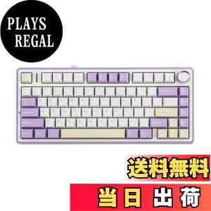 yzEPOMAKER x Aula F75 Q[~OL[{[h KXPbg JjJL[{[h 5wpbhmut 75% CX zbgXbpu Bluetooth/2.4GHz/USB-C RGB ZKF؎擾(Purple, LEOBOG Re