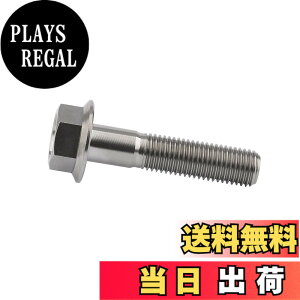 �y���������zDingtai �`�^���t�����W�{���gM10 x20 25 30 35 40 45 55 60 65 70 75 80 100mm 1.25mm �t�����W�˂� (M10x45mm) [���s�A���i]