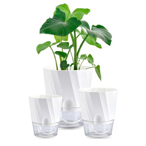 yzSTATIN4 Aؔ ϗtA vX`bN  Lbv v^[ a20/15/12cm n[u r   O zCg 3Zbg