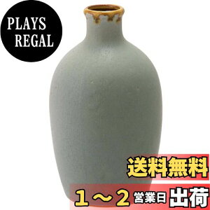 yzC(Saikaitoki) g \Yq {g ԕr  500ml ݂F O[