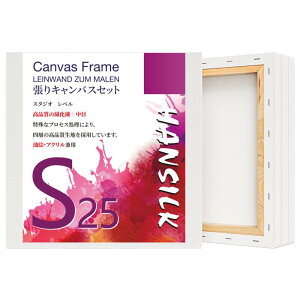 yzHANSILK LoX S25 LoX `  G{[h  ʁEANp 250mm*250mm 4Zbg