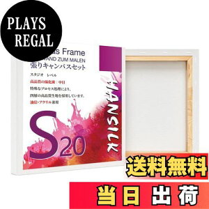 yzHANSILK LoX S20 LoX `  G{[h  ʁEANp 200mm*200mm 4Zbg