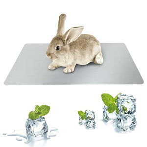 yz Ђv[g ybgv[g nX^[ v[g A~ N[xbh 300×200mm p}bg p ΍ ėp MǑ΍ gg/bg/n