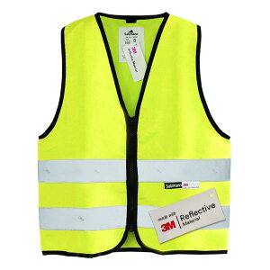 yz[Salzmann] qp˃xXg - 3Mˑfގgp