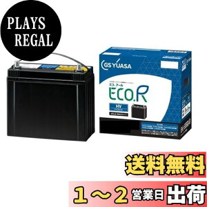 yzGSAT EHJ S42B20R ECO.R HV g^nnCubgpԐp @pobe[ GS YUASA W[GXAT 2024Nf