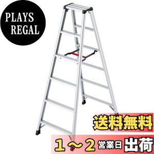 yzJH(Hasegawa) pr ry 6i RZ-18c (1.69m) (17758)y2020Nfz