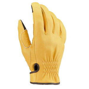 yzfCgi(Daytona) ɏv~A oCNp O[u tďH~ {v(v) { DKJbg V[g HBG-037 L LTCY 96819