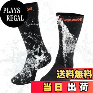 yzfCgi(Daytona) oCNp C h mE[ tďH~ h   hc[O\bNX LTCY(26-28cm) 39983