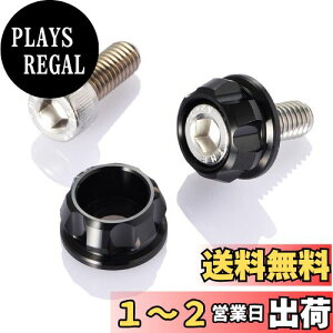 yzfCgi(Daytona) PREMIUM ZONE(v~A][) oCNp io[v[g {g M6×15mm z_[Zbg 2 ubN 91950