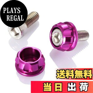 yzfCgi(Daytona) PREMIUM ZONE(v~A][) oCNp io[v[g {g M6×15mm z_[Zbg 2 p[v 91952