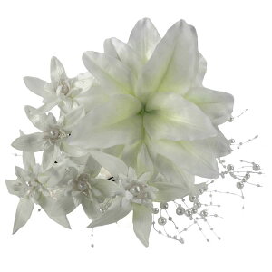 yz[񂴃XgA]  l   Up   ܎O  ؂ ^ o Ǝ  Ǝ̐@  ㎿ v[g ͂Ȃ  6_Zbg (S 1)