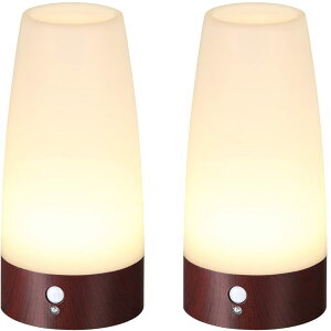 yzLifeholder LEDCg lÃZT[Cg iCgCg Cg ABS ؖڒ Ɩ  Ki L dr dFi~`2j