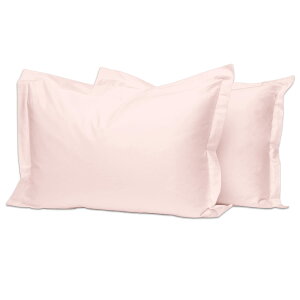 yzPizuna RbgJo[400XbhJEg уOXe[v100TeD ʋC @Ő􂦂閍Jo[2s[X 50x75cm (CgsN)