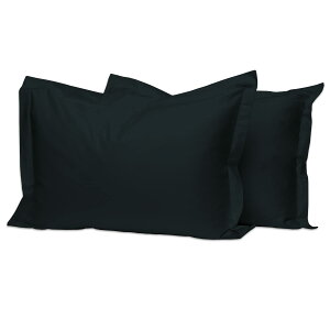 yzPizuna RbgJo[400XbhJEg уOXe[v100TeD ʋC @Ő􂦂閍Jo[2s[X 50x75cm ()