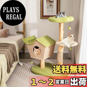 yzBestBuy Lbg^[ 110cm ؐ lR^[ LnEX  u ||ʕt L L^[ LnEX ܂Ƃ ܖ ܌   ^s L