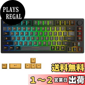 yzDAREU EK75PRO Q[~OL[{[h  eL[X 2.4GCX/Bluetooth/LUSBڑ\ 81L[ pz KXPbg}Eg RGB JjJL[{[h zbgXbvΉ 