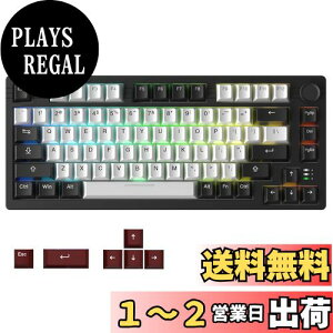 yzDAREU EK75PRO Q[~OL[{[h  eL[X 2.4GCX/Bluetooth/LUSBڑ\ KXPbg}Eg 81L[ pz RGB JjJL[{[h zbgXbvΉ 