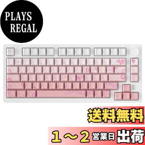yzDAREU EK75PRO Q[~OL[{[h   sN eL[X 2.4GCX/Bluetooth/LUSBڑ\ KXPbg}Eg 81L[ pz  RGB JjJL[{[h zb