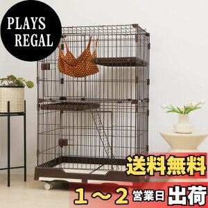 yzPETTOM L P[W LbgP[W P[W 82cm 2/3i ybg L LbgQ[W Lbg ^[ [ LX^[ t Eh~  B ˂ lRP[W RpNg nbN 