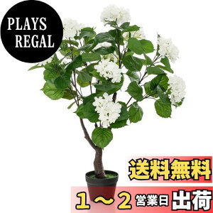 yzTANGKULA ϗtA tFCNAWTC 110cm tFCNO[ lHϗtA  CeA  O tFCNA lH ϗtA sv ͂Ȃ ~͐A (AWTC1{)