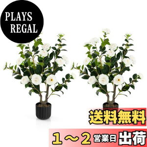 yzTANGKULA ϗtA tFCN coL 95cm 2{ tFCNO[ lHϗtA  CeA  O tFCNA lH ϗtA sv ͂Ȃ ~͐A (coL2{-z