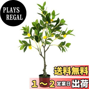 yzTANGKULA ϗtA tFCN 80cm ̖ tFCNO[ lHϗtA  CeA  O tFCNA lH ϗtA sv ͂Ȃ ~͐A (80cm-)