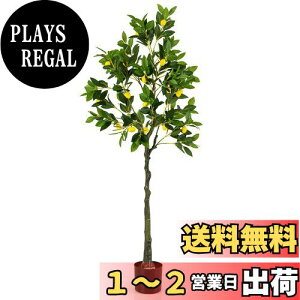 yzTANGKULA ϗtA tFCN 160cm ̖ tFCNO[ lHϗtA  CeA  O tFCNA lH ϗtA sv ͂Ȃ ~͐A (160cm-)