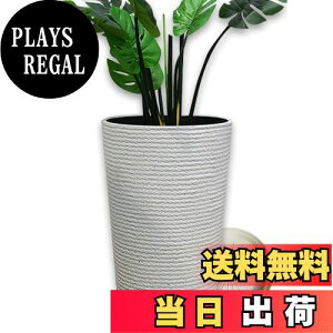 yzFloralies v^[ ^  󂯎Mt Aؔ ^ y  Op v^[ [^ 42cm rt ϗtA  Aؔ (42cm, zCg)