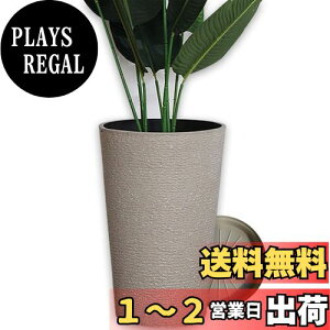 yzFloralies v^[ ^  󂯎Mt Aؔ ^ y  Op v^[ [^ 64cm rt ϗtA  Aؔ (64cm, L)