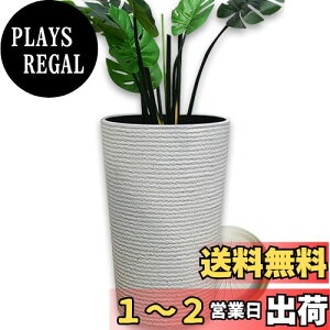 yzFloralies v^[ ^  󂯎Mt Aؔ ^ y  Op v^[ [^ 52cm rt ϗtA  Aؔ (52cm, zCg)