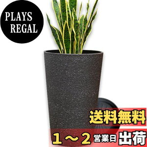 yzFloralies v^[ ^  󂯎Mt Aؔ ^ y  Op v^[ [^ 42cm rt ϗtA  Aؔ (42cm, ubN)