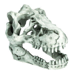 yzCharmoon  ANAE IuWF    B VF^[ I[ig u