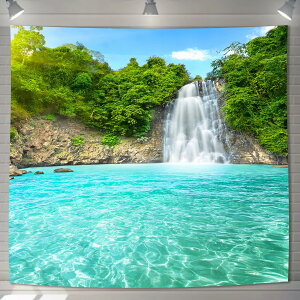 yzU-SITU ^yXg[ Ǌ| Ǐ  r X RiF IV wi @\ z|X^[ CeA ͋C]iTCYF180cm x 180cmjJ[FGT0215FC