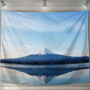 yzU-SITU ^yXg[ Ǌ| Ǐ xmR  ΋ RiF IV wi @\ z|X^[ CeA ͋C]iTCYF180cm x 230cmjJ[FGT0197C