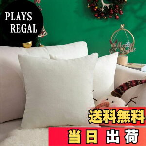 yzTopfinel NbVJo[ lۂ 45×45cm k  Ȗ n \t@w Jo[ zcJo[ zCg 2ZbgiS10Fj