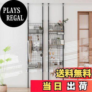 yzLunarLight ˂胁bVpl ˂_ ˂p[e[V (C[lbgbV^Cv)45-65s2.5×165-290cm (3AStbN2t) Ǌ| W[ 