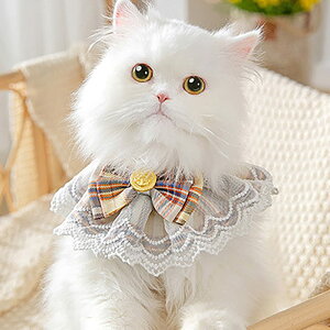 yzTengcong L̎ lR  悾ꂩ     ߉\ y ybgp lN^C 킢 y ^  Lp ybgpi (S, CG[)