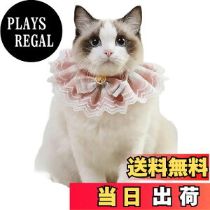 yzTengcong L̎ lR  悾ꂩ     ߉\ y ybgp lN^C 킢 y ^  Lp ybgpi (S, sN)