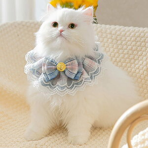 yzTengcong L̎ lR  悾ꂩ     ߉\ y ybgp lN^C 킢 y ^  Lp ybgpi (S, u[)